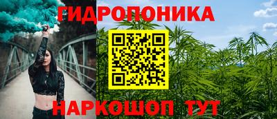 бошки Будённовск